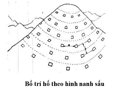 đào hố hình nanh sấu_1672714073.png